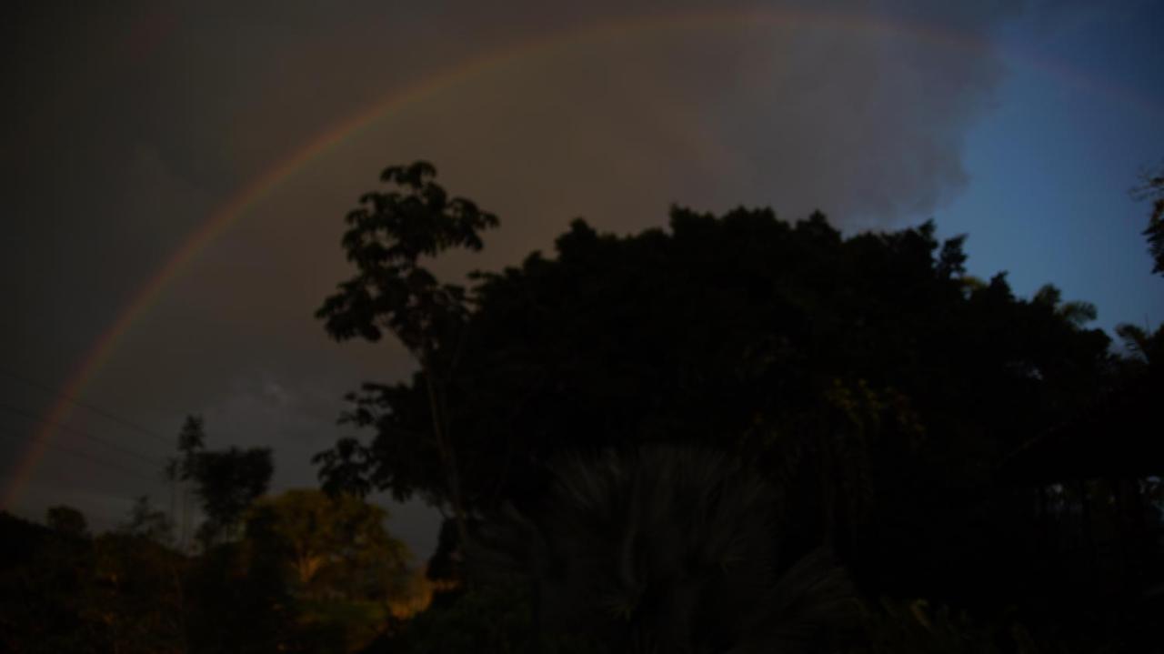 Finca La Argelia Quimbaya Dış mekan fotoğraf