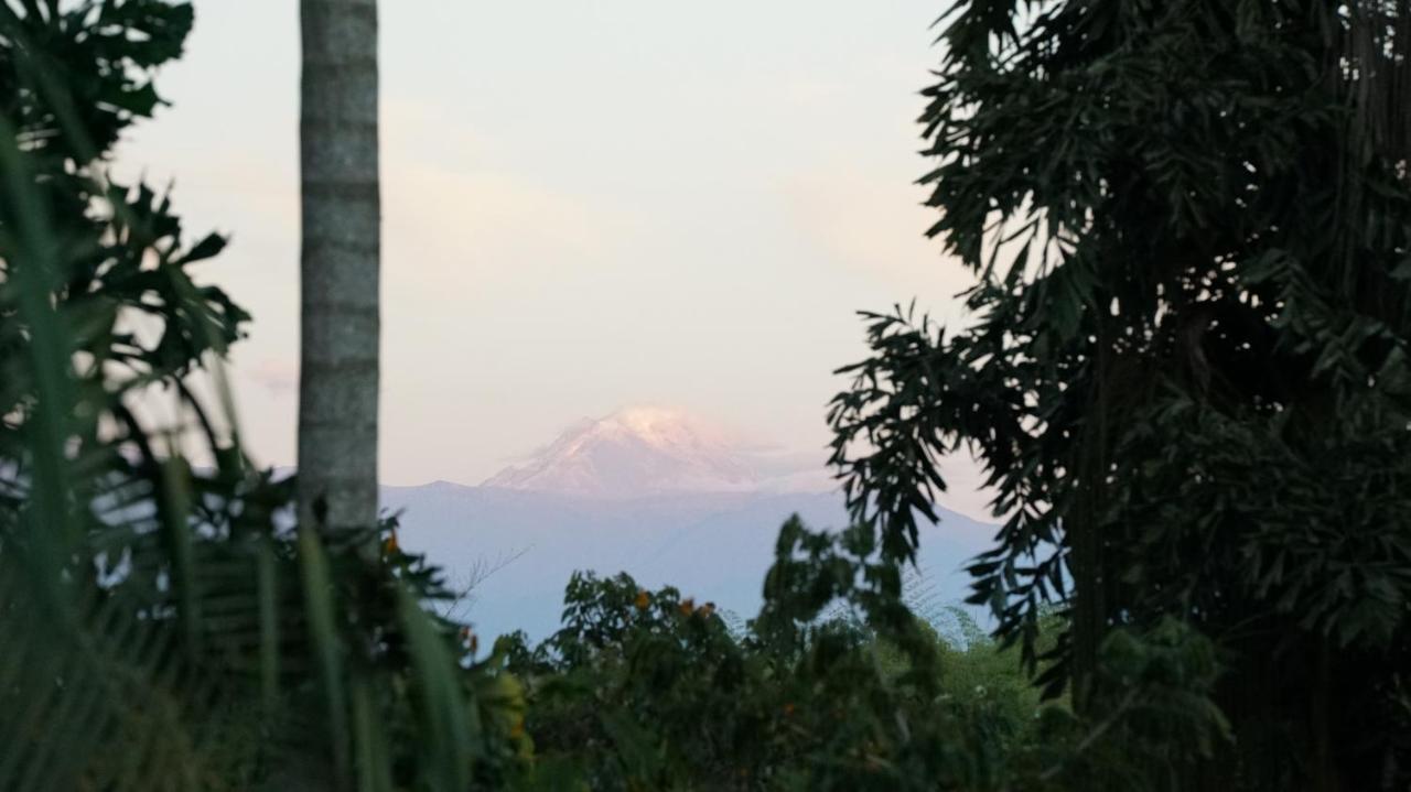 Finca La Argelia Quimbaya Dış mekan fotoğraf