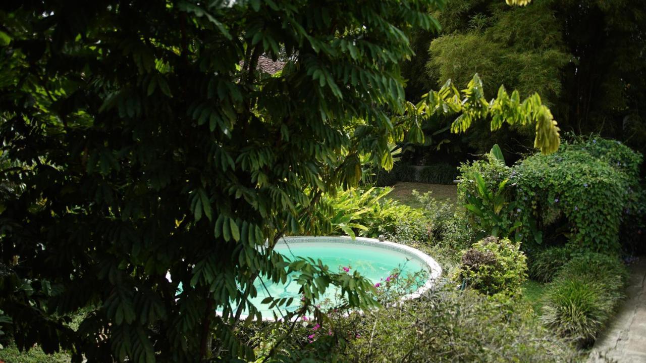 Finca La Argelia Quimbaya Dış mekan fotoğraf